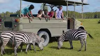 Find fun, family adventures in Central Florida!☀️