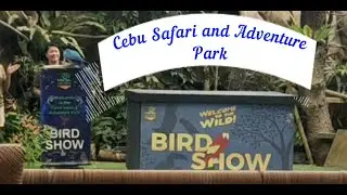 BIRD SHOW at CEBU SAFARI and ADVENTURE PARK #vacationmode #vacation2024 #vacation