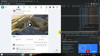 Facebook Sponsored ads in Vietnamese