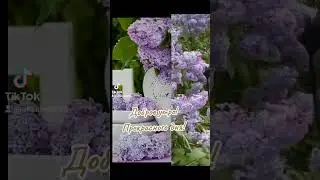 Доброе утро! Прекрасного дня!