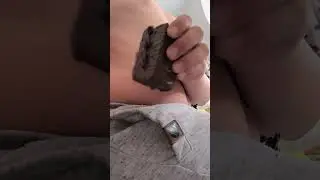 Мой десерт (цель 90кг)
