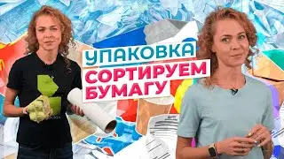 Упаковка: Бумага. Куда сдавать макулатуру? Утилизация и переработка