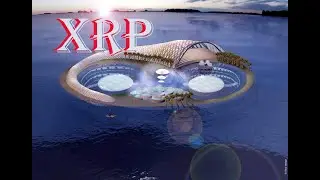 Ripple XRP Рост внимания со стороны государственных учреждений