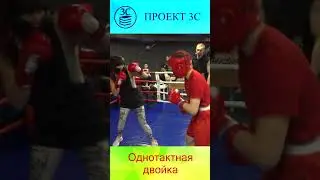 Проект 3С. Однотактная двойка