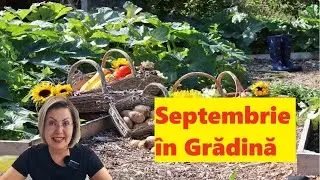September garden to do list