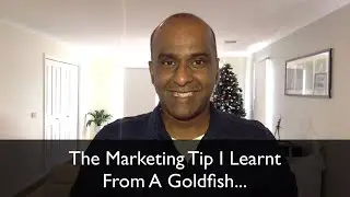 The Marketing Tip I Learned From A Goldfish