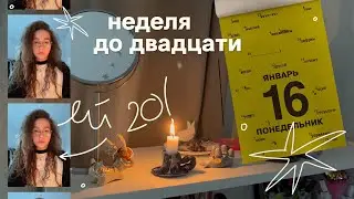 неделя до дня рождения (будни студенки-дизайнерки вшэ)