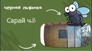 Сарай для львинки. Часть 5