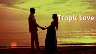 Tropic Love - Diviners feat.Contacreast I NCS Music