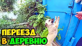 Надоело жить в городе, сил моих больше нет || Бросил все и уехал в деревню || Привез маме подарки