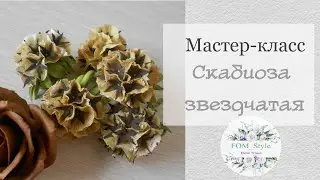 МК Скабиоза Стеллата (звездчатая)/ цветы своими руками из фоамирана
