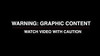 Manenberg children torture and kill dog in graphic video