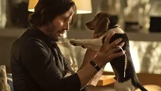 John Wick's Beagle: The Cutest Dog in the World
