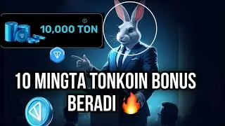 ХАР КУНИ БОНУС ТОНКОИНЛАР 🔥 | ROCKY RABBIT