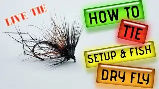 How to fish Dry Flies, Trout Feeding Window, Leader Setup