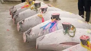 Рыбный рынок в Японии. Что скрывают от туристов?!