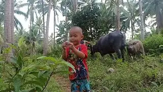 Kumain na Ang kalabaw sa likod ni Liam