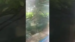 просто аквариум