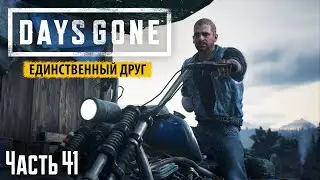Прохождение Days Gone: Единственный друг - Часть 41