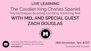 Cavalier King Charles Spaniel With Mel and Zach Douglas