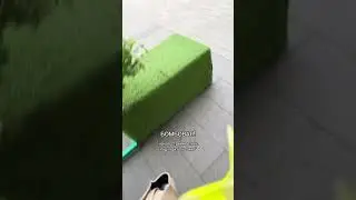 А на вас нападали б0мжи?🤣🤣🤣 
