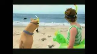 Scooby-Doo! Curse of the Lake Monster Teaser Trailer