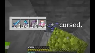 cursed minecraft survival let's play