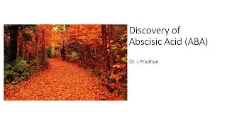 Discovery of Abscisic Acid