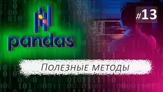 ► 13. USEFUL METHODS. Methods unique(), nunique(), value_counts(), sort_values() | Pandas Course.