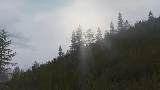 Чёрные Ангелы NEW STORY CLEAR SKY