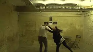 Catfight
