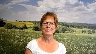 Wiesensee im Westerwald: Ausflugstipp