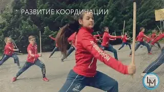 Про ушу