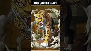 Rob Lucci All Forms
