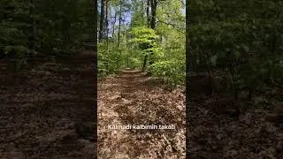 bırakmayacağım seni