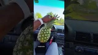 You can't treat cars like that😰 