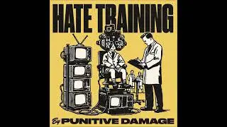 Punitive Damage 
