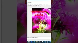 Image Arithmetic in Matlab