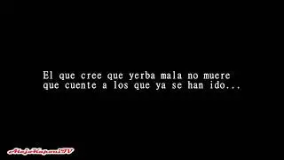 Vico c - yerba mala