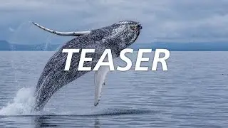 Canon Light Awards - Teaser