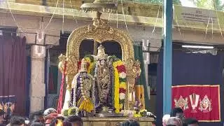 Thirumangai Azhwar Pandhal Mangalasasana Purappadu