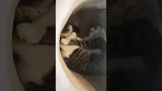 wake up