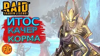 ИТОС. Качер корма. Raid: Shadow Legends. Рейд шадоу легендз