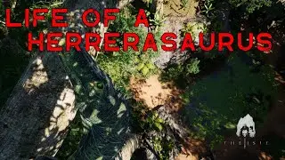 The Ultimate Treetop Assassin | Life of a Herrerasaurus on the Official Servers | The Isle: Evrima