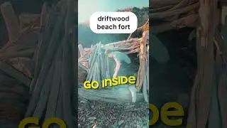 using driftwood to build this?! 🤯🪵 #DIY #survival