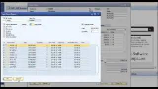 How to use the Control-Tab Function in SAP Business One.mp4