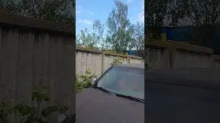 Какие бывают соседи у автосервиса? а вот!