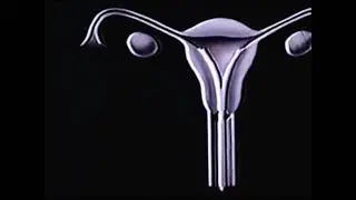 The Story Of Menstruation (1946) | Disney's Period Piece