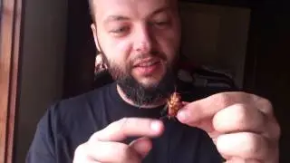 Таракан Уганды