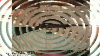 Browning BLR Lightweight `81 7mm-08 Remington Rifle